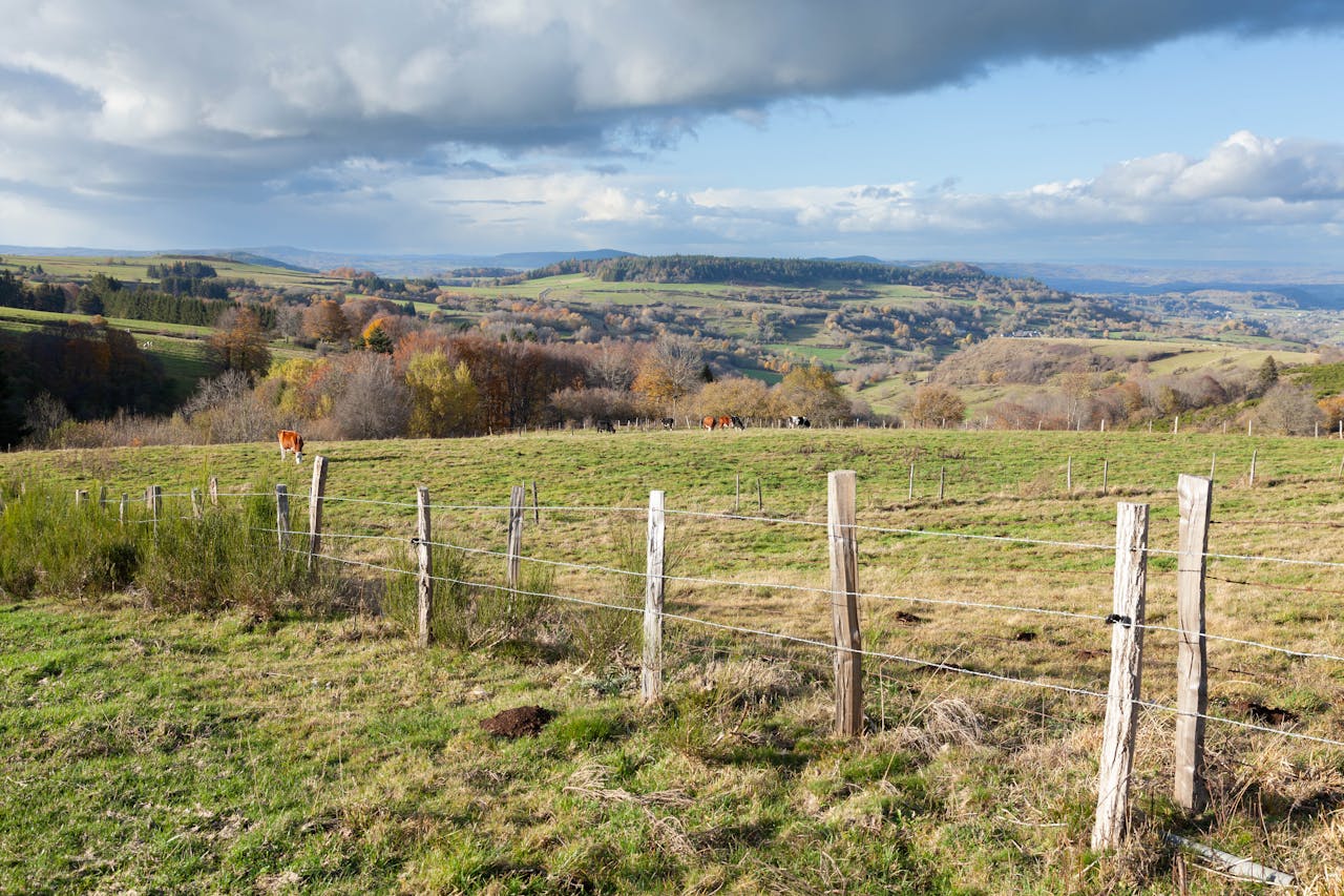 élevage connecté